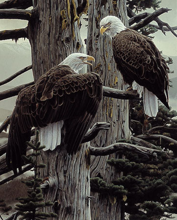 THE NESTING CALL (REMARQUE)