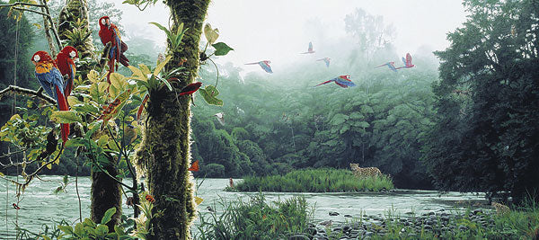RAIN FOREST RENDEZVOUS