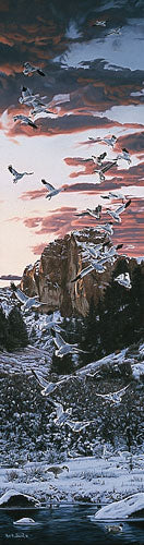 SNOWSTORM