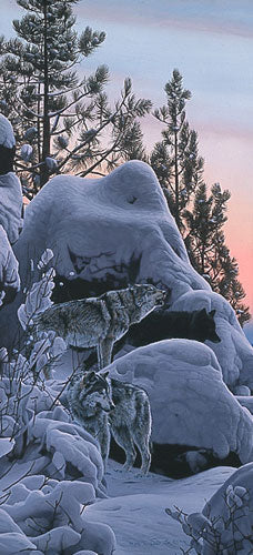 SNOW PACK