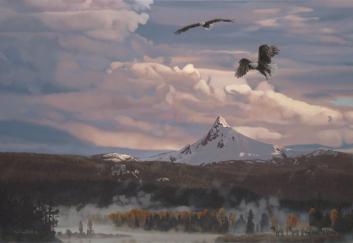Bird´s Eye View