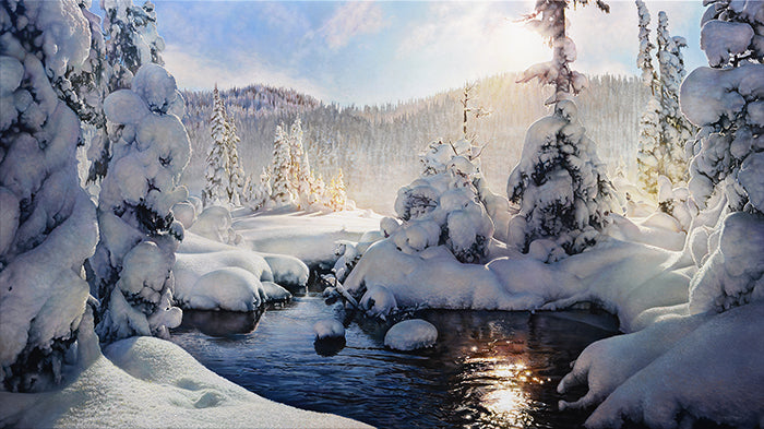 Alpine Light