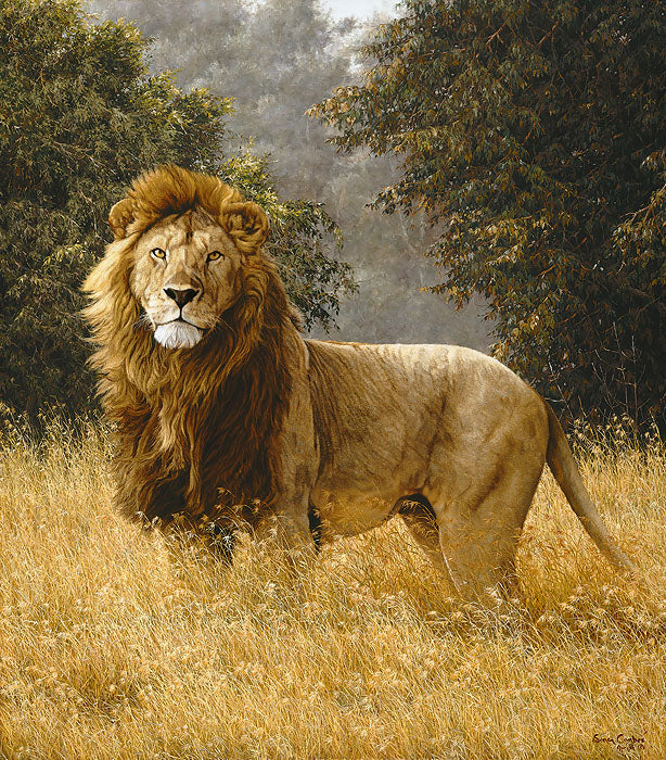 Simba Artist's Proof