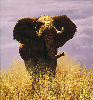 Tsavo Sentinel