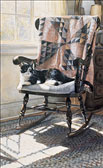 The Cat´s Lair