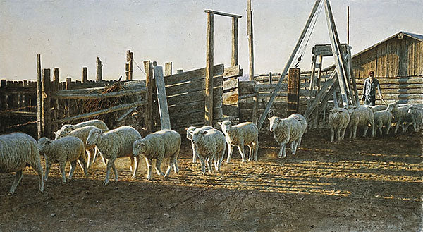 Chauncey's Corrals