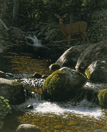 McClellan Creek