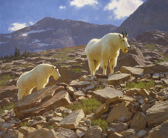 Glacier Goats
