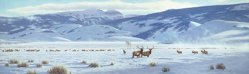 The Refuge