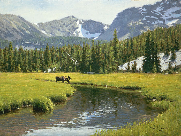 Lost Cabin Creek