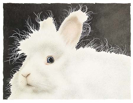 MR. HARRY BUNS...