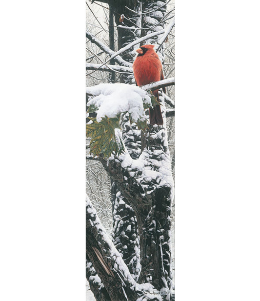 Winter´s Brilliance