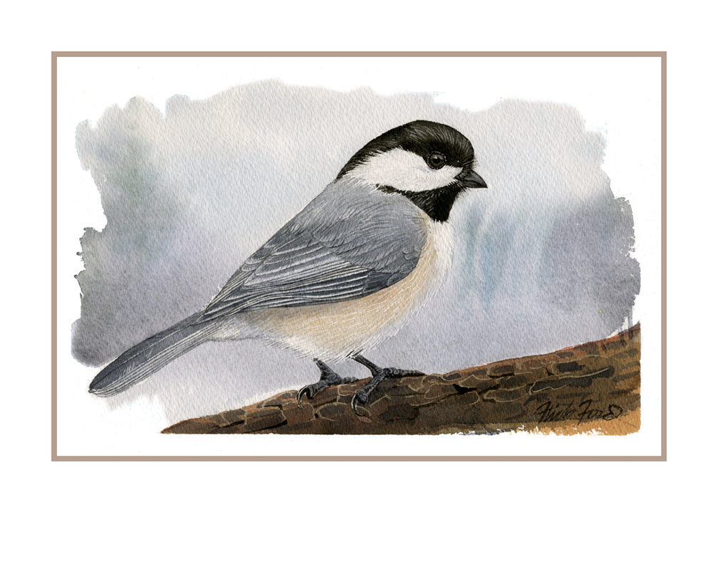 Chickadee