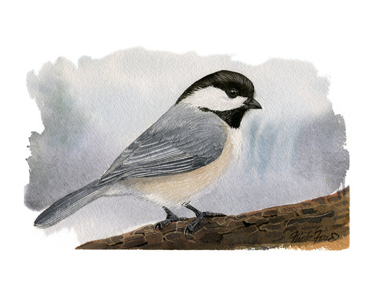 Chickadee