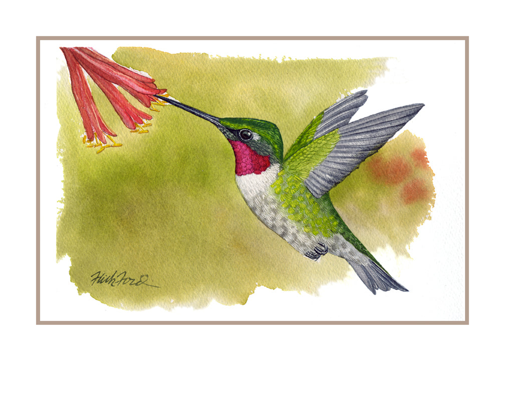 Hummingbird