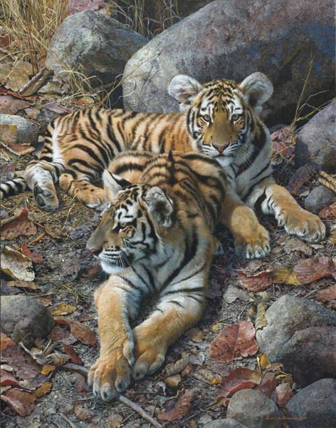 Endangered Ambassadors-Tiger Cubs