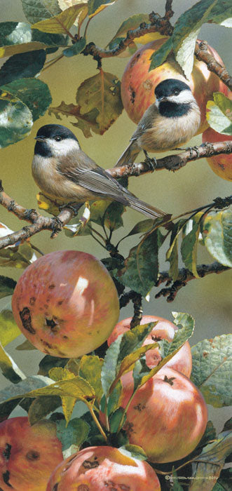 Chickadees & Apple Tree