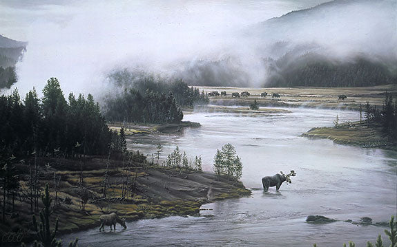 Moose River