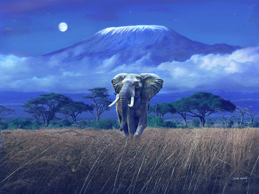 Moon Over Kilimanjaro