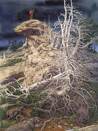 Prayer For The Wild Things By Bev Doolittle