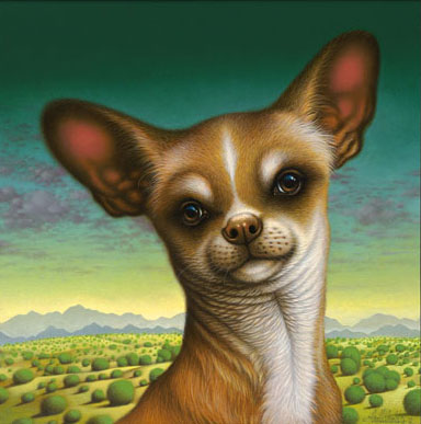 Chihuahua de Chimayo