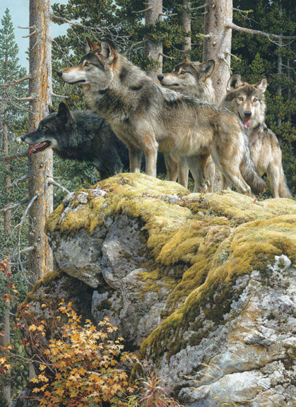 Lookout Tower-Wolves