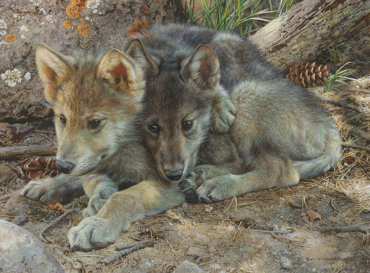 Brotherly Love-Wolf Pups