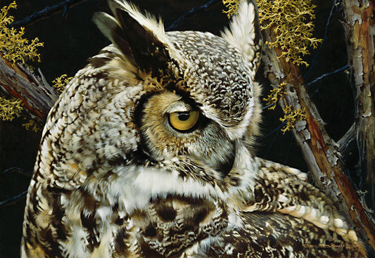 Eye of the Beholder-Great Horned Owl