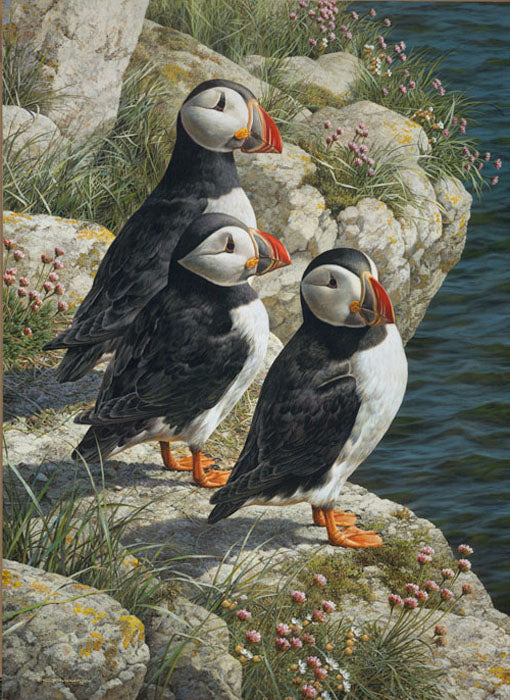 Fisherman´s Wharf -Three Puffins