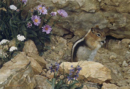 Trail Mix-Golden Mantle Ground Squirrel