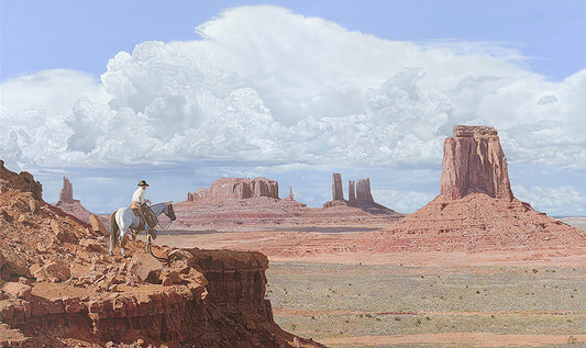 Navajo Skyline
