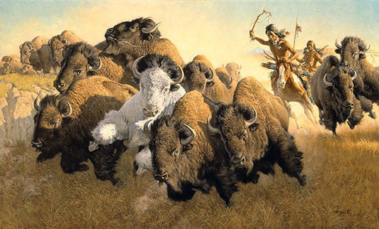 In Pursuit of the White Buffalo