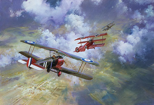 Last Combat of The Red Baron