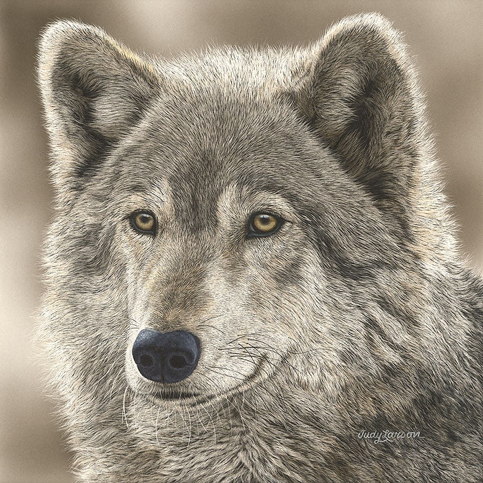 The Play Wolf Limited Edition Fine Art Greenwich