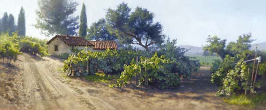Monterey Vineyard