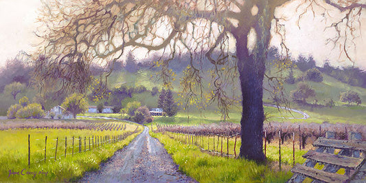 Early Spring Sonoma Valley