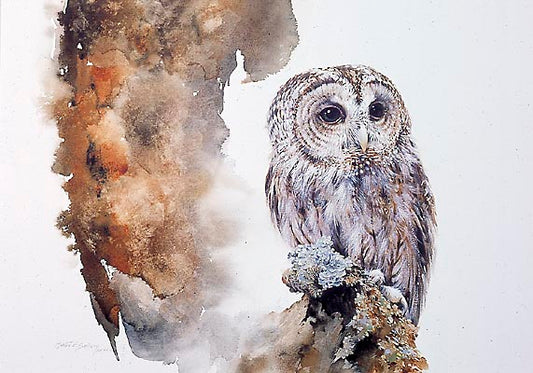 Mort Solberg - Exclusive Art Collections at Greenwich Workshop