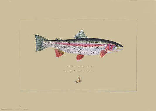 Alaskan Rainbow Trout