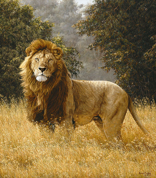 Simba Artist's Proof