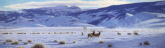 The Refuge